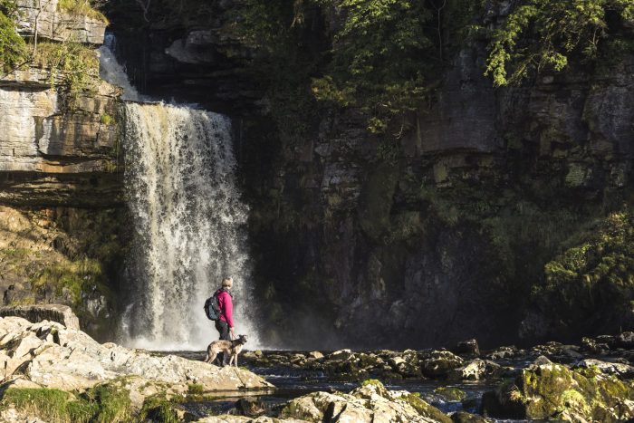 Waterfall woman and a dog 
