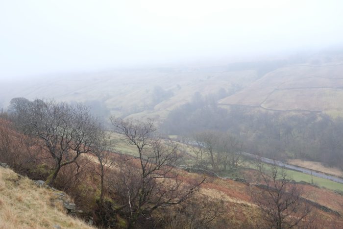 The road along the valley floor in Garsdale