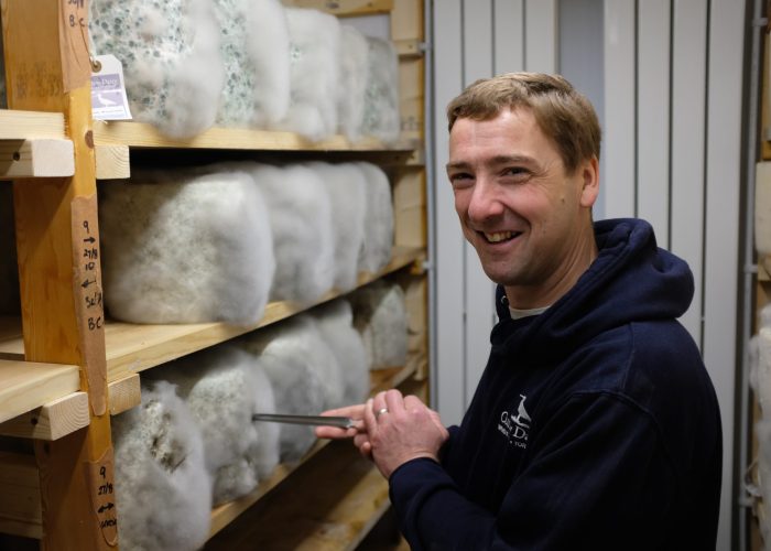 Artisan cheese maker Ben Spence in one of the maturing rooms at Curlew Diary.